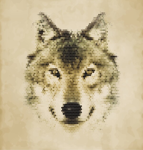 灰狼狼头图片