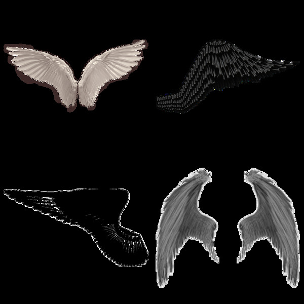 四种漂亮的翅膀免抠png透明图层素材