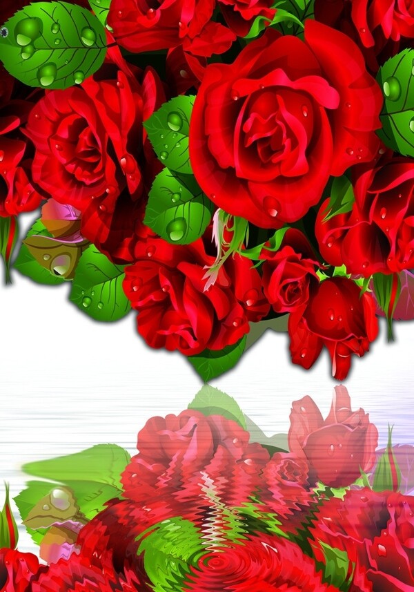 超大玫瑰花素材图片