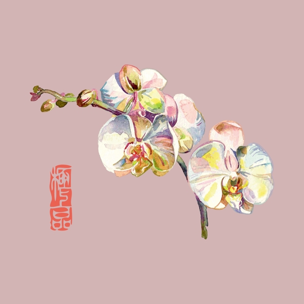 印花矢量圖T恤圖案圖文結(jié)合植物花朵免費素材