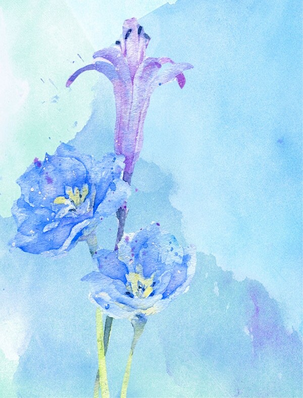 蓝色鸢尾兰手绘花朵装饰画