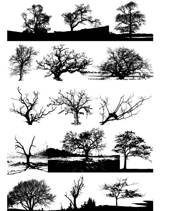 树影图片