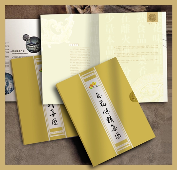 味精畫冊效果圖