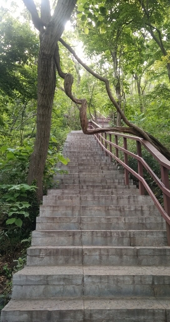 大蜀山台阶