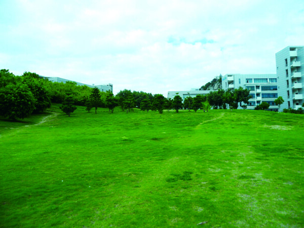 公園背景素材圖片