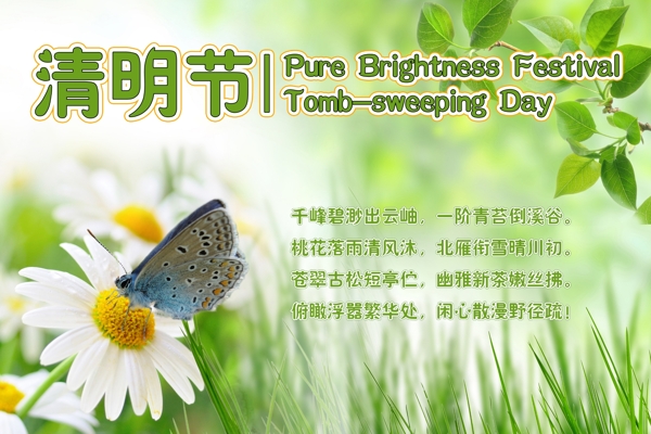 清明節(jié)節(jié)日
