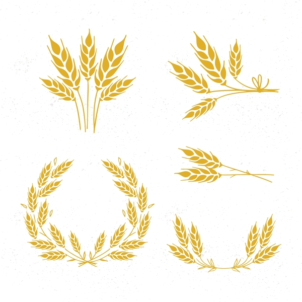 5款金色麦穗插画设计