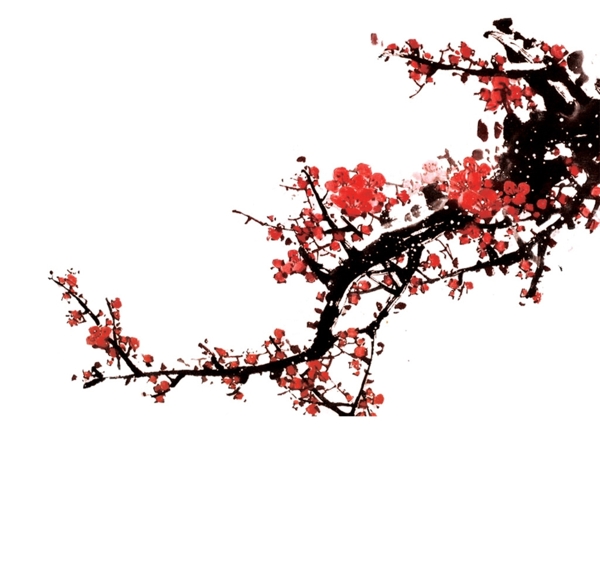 梅花