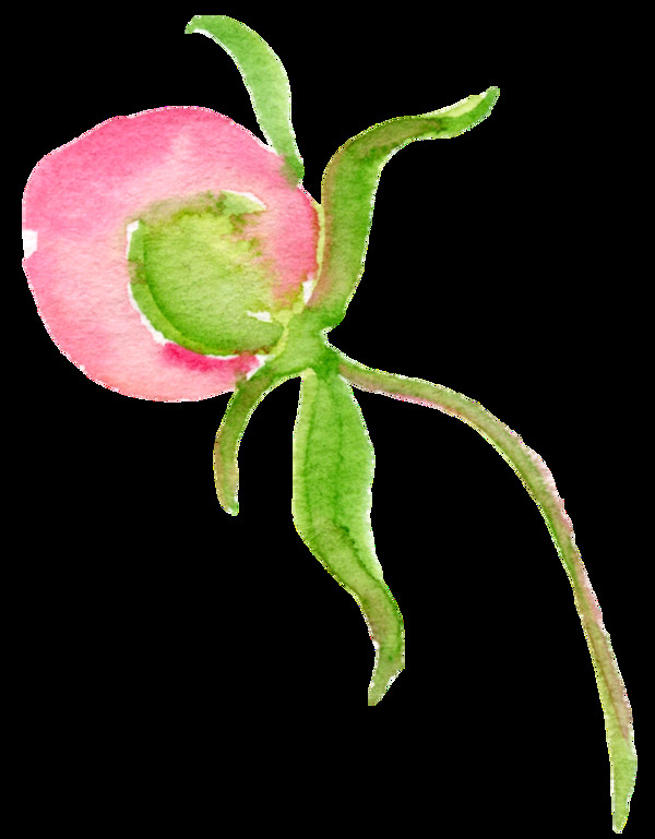 花藝卡通透明素材