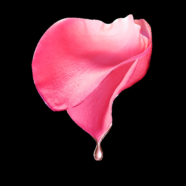 浪漫粉色花瓣元素
