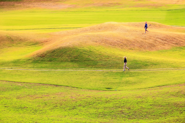 草地上打高尔夫球的运动人物图片