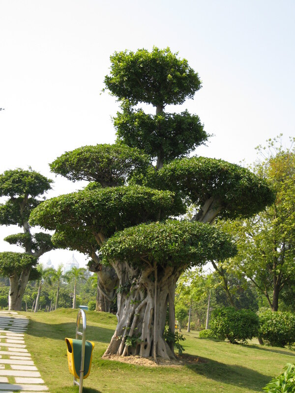 園林配植效果素材圖片