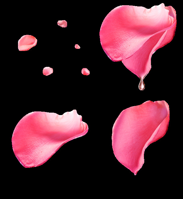 粉红色花瓣png透明素材