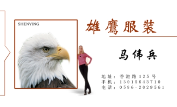 名片設(shè)計(jì)雄鷹服裝