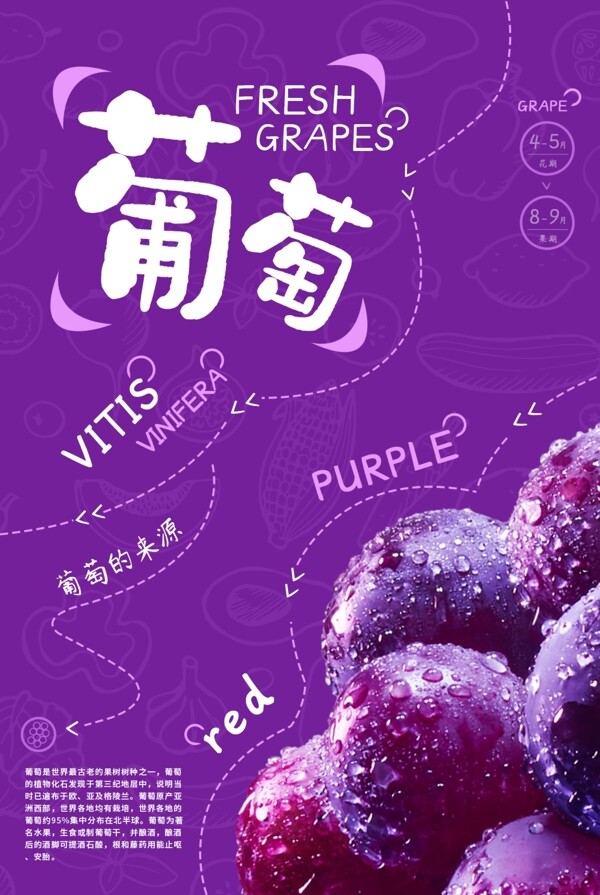 葡萄水果活动促销宣传海报素材