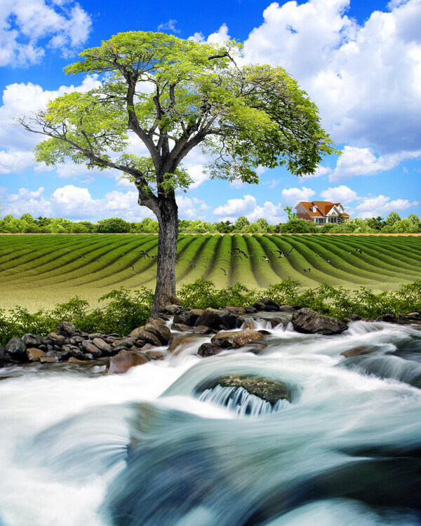 3D溪水田野大树背景墙