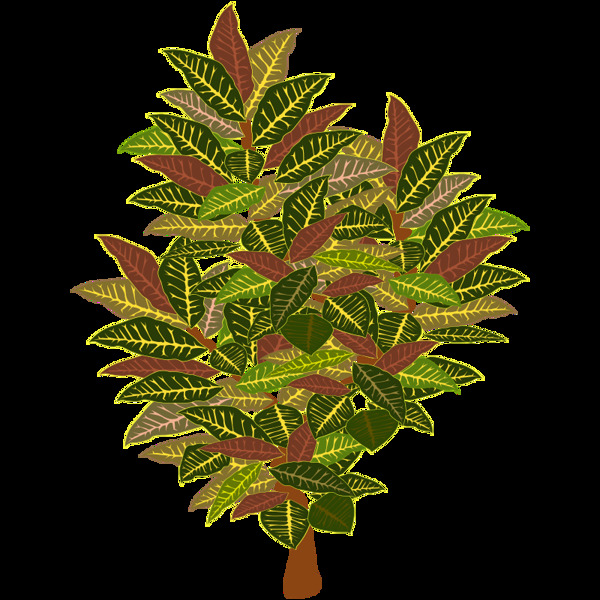 tree11