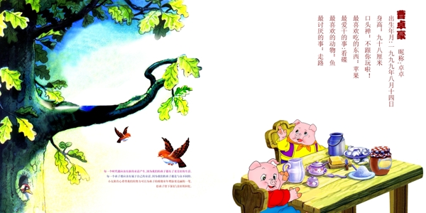 豆豆和三只小豬2