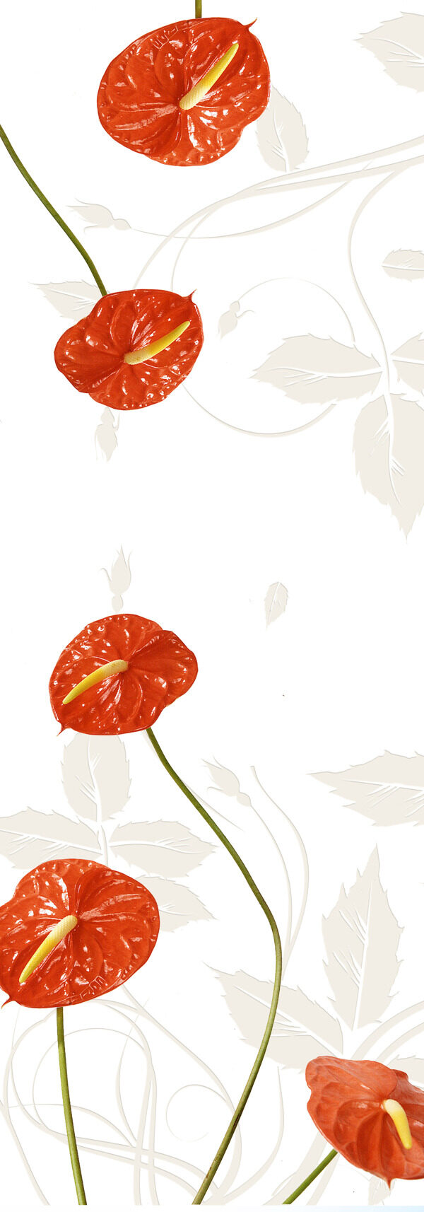 平開(kāi)門(mén)紅色花
