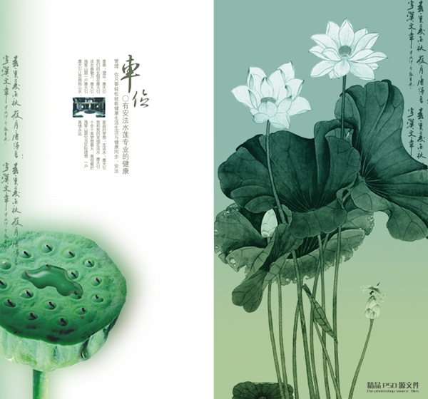 psd分層素材荷花蓮蓬水墨素材毛筆字