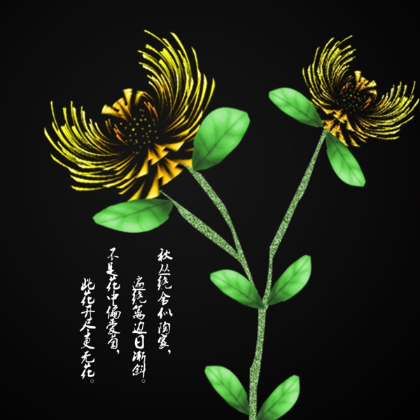 手繪裝飾圖案菊花黑色背景psd