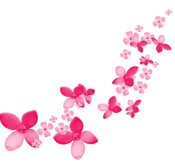 花瓣漂浮元素