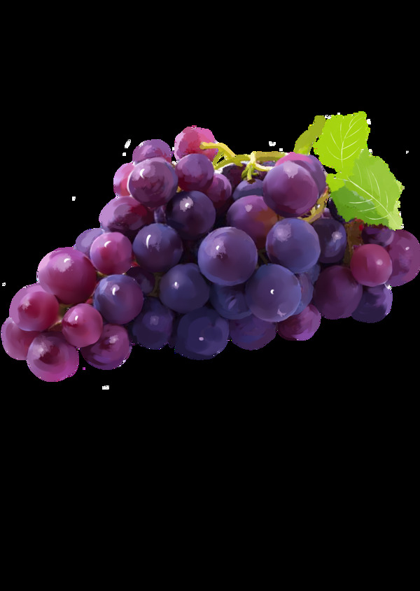 葡萄水果新鲜提子饮品海报素材