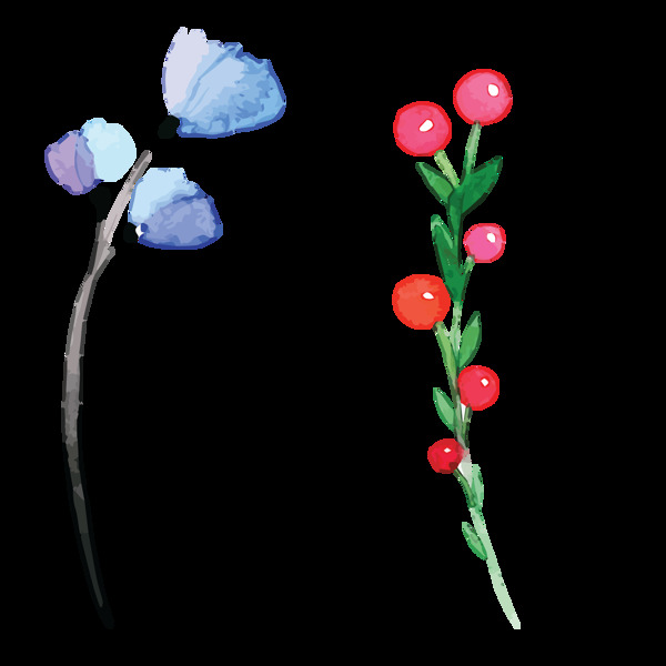 唯美蓝色花朵高清素材果实