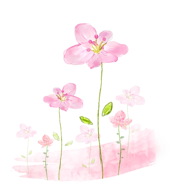 手绘粉色小花插画
