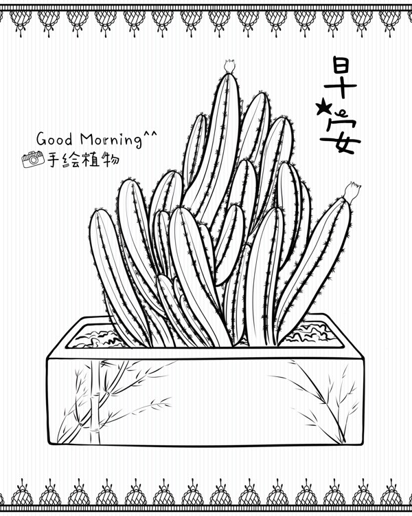 仙人棒