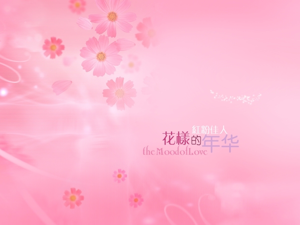 婚紗PSD素材