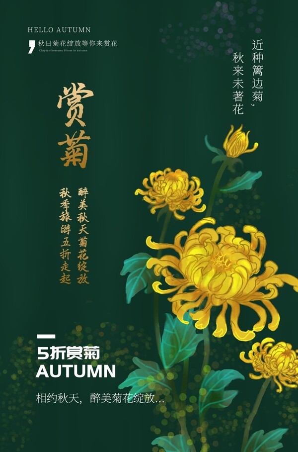 赏菊花朵传统国风海报素材