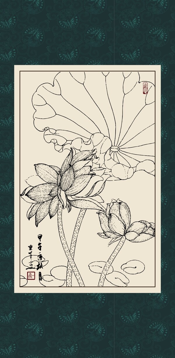 白描荷花圖片