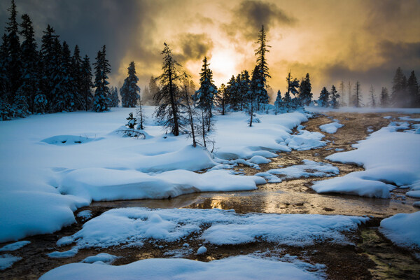 黄石公园冬天雪景图片