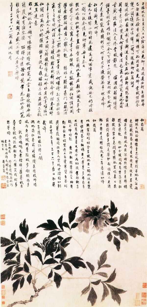 菊花