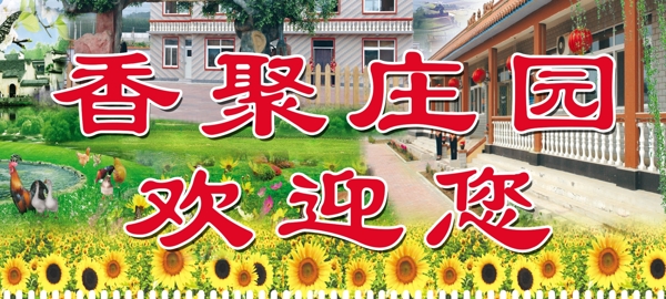 農(nóng)家院圖片