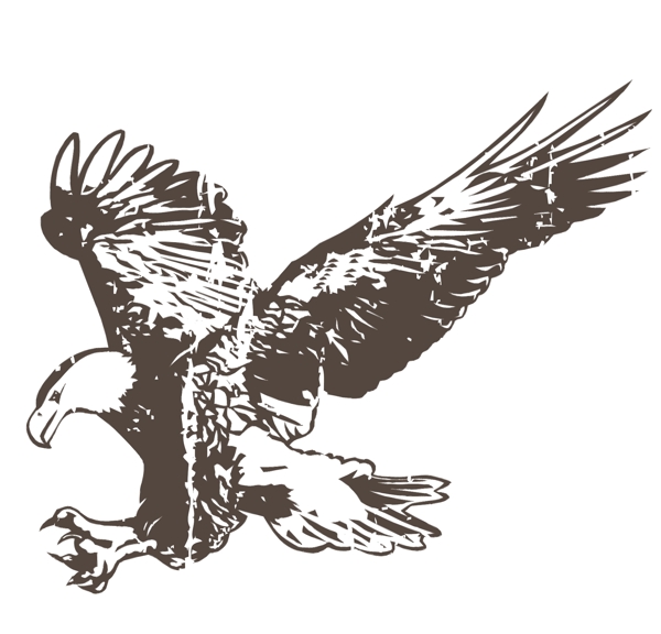 印花矢量圖動物鳥類色彩黑白色免費素材