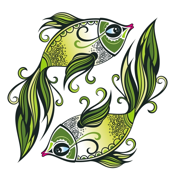 花紋小魚