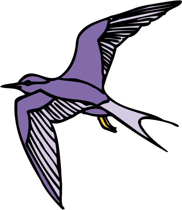 各種鳥類鳥動(dòng)物矢量素材EPS格式1465