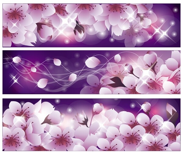 矢量花瓣裝飾banner背景