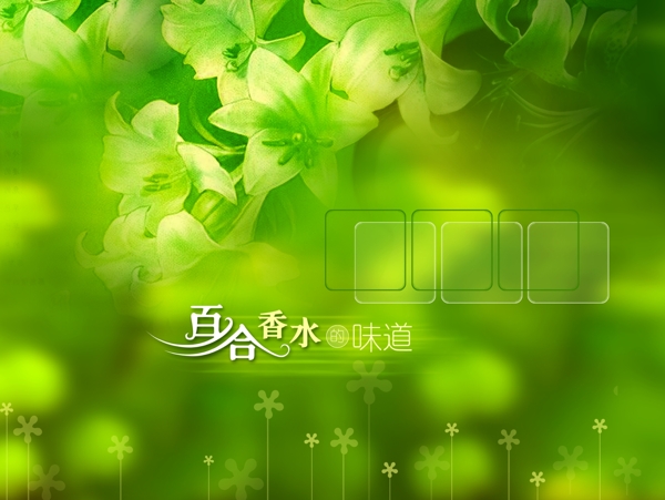 相冊模板圖片
