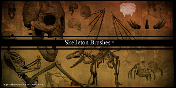 skelleton刷