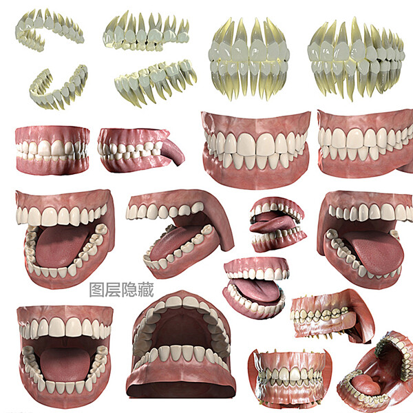 3D牙齒圖片