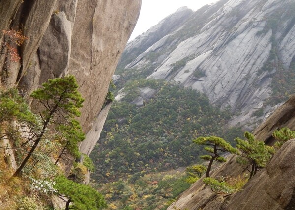 黄山风光图片