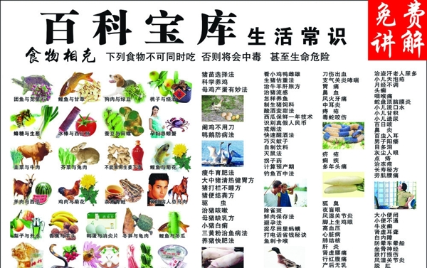 百科寶庫(kù)圖片