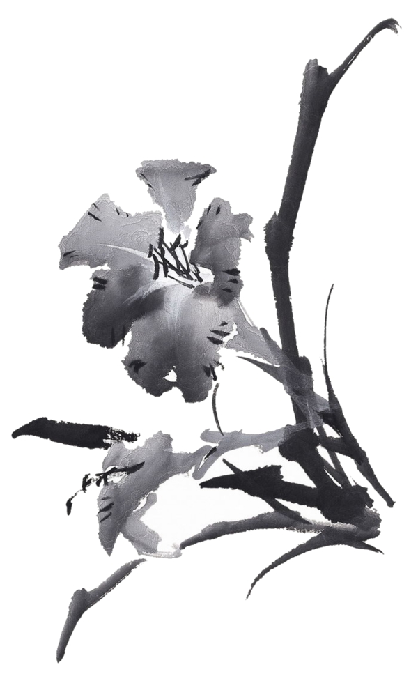 黑色花高清印刷黑白花叶子