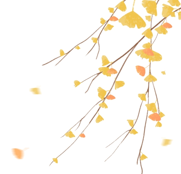 秋季银杏叶png素材图片