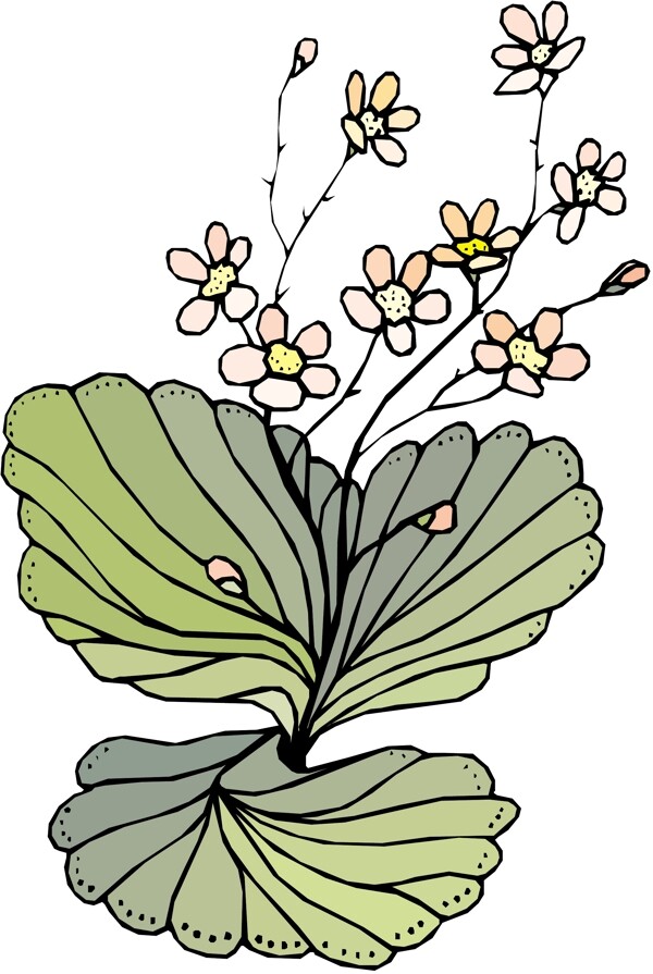 花朵花草鮮花矢量EPS格式1403