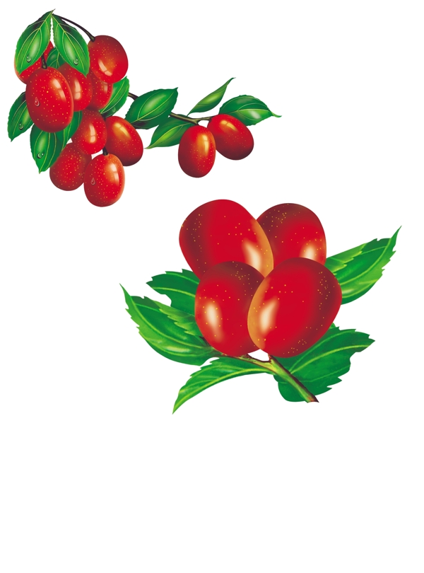 紅棗