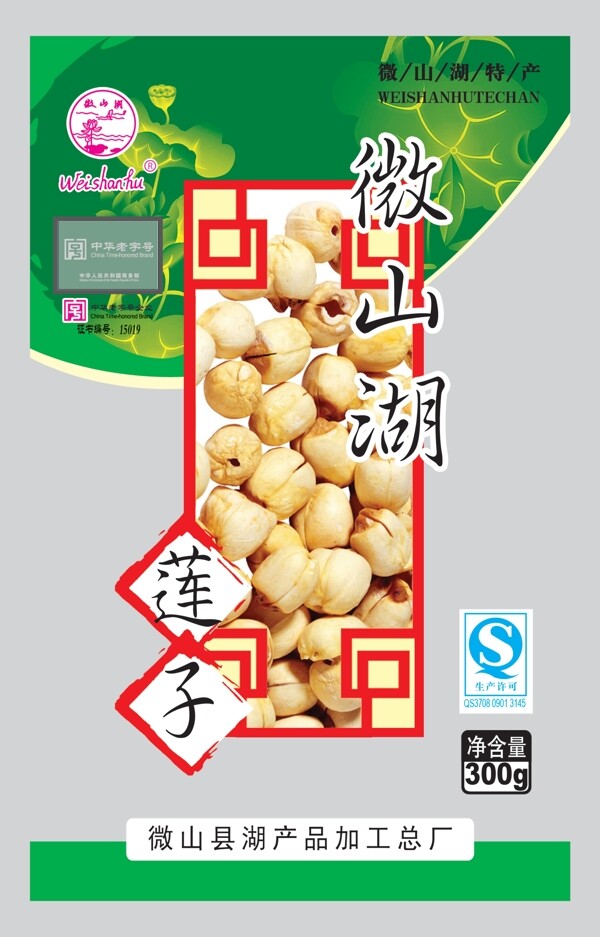 蓮子圖片